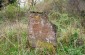 One of a very few tombstones left in the Frysztak Jewish cemetery. The whole cemetery area is overgrown by vegetation. An estate of single-family houses was erected around the cemetery. ©Piotr Malec/Yahad - In Unum